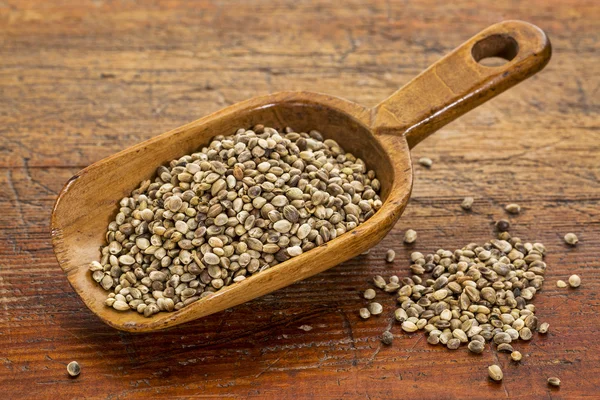 Hemp seeds scoop — Stock Photo, Image