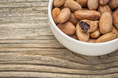 ham organik kakao çekirdekleri 