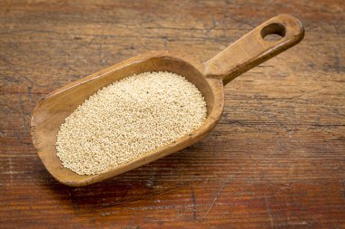 solmayan çiçek tahıl Kepçe