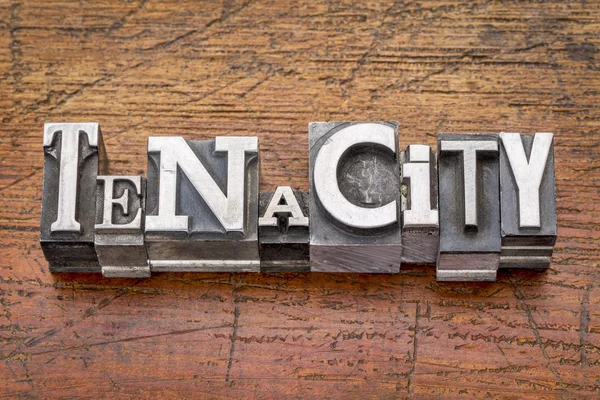 Tenacity word in  metal type — Stock Photo, Image