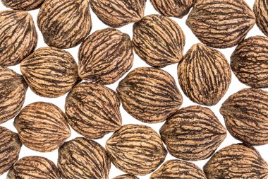 siyah ceviz kabuklarında