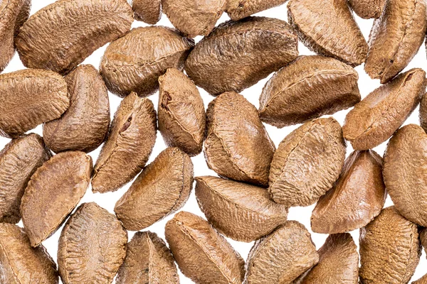 Brazilské ořechy ve skořápce — Stock fotografie