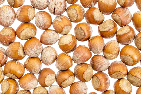 Hazelnuts на белом фоне — стоковое фото