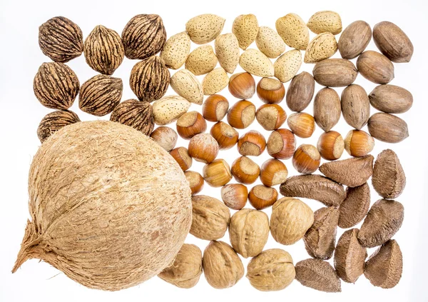 Variety of nuts in shells — Stock Photo, Image