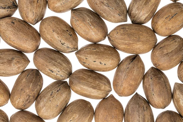 Nueces de nuez sobre fondo blanco — Foto de Stock