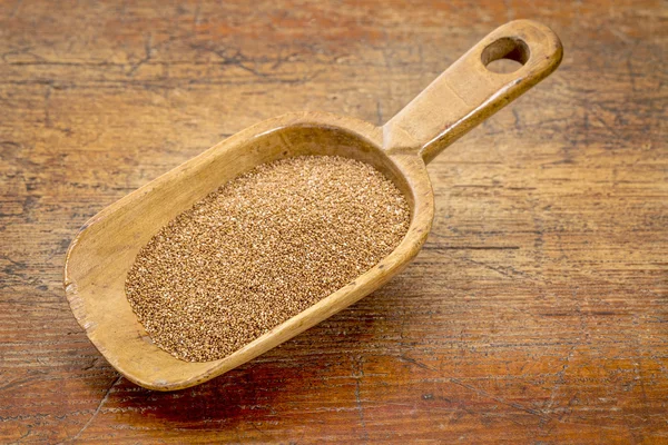 Teff grain scoop — Stock Photo, Image