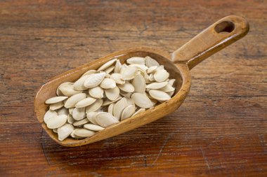 taze kabak çekirdeği 