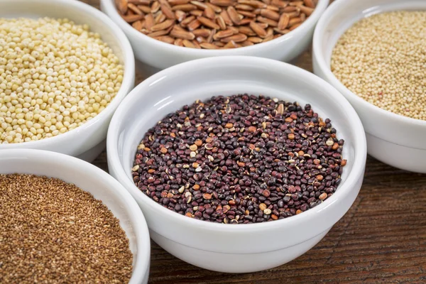 Quinoa gluten ücretsiz tahıl — Stok fotoğraf