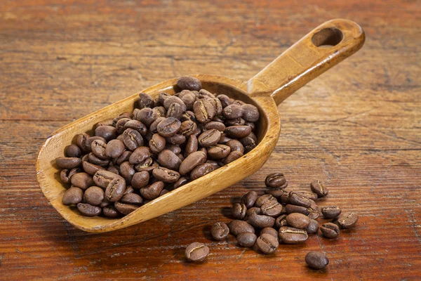 Skopa av kaffebönor — Stockfoto