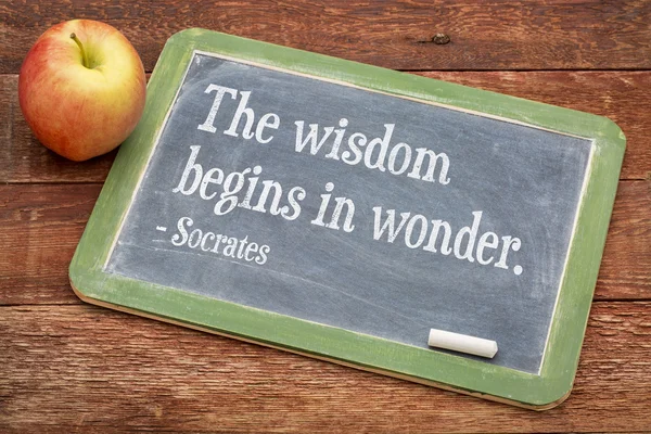 La sabiduría comienza con asombro — Foto de Stock