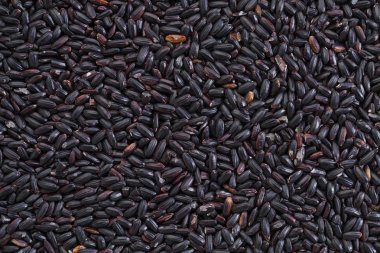 yasak pirinç tahıl