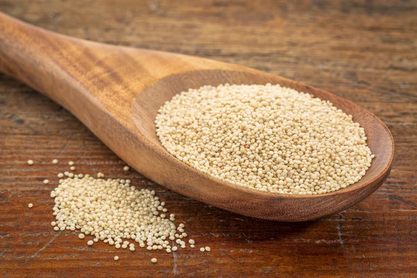 Gluten free amaranth grain — Stock Photo, Image