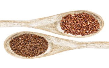 kaniwa ve quinoa tahıl