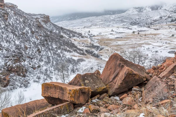 Kurzawa nad podnóża Colorado — Zdjęcie stockowe