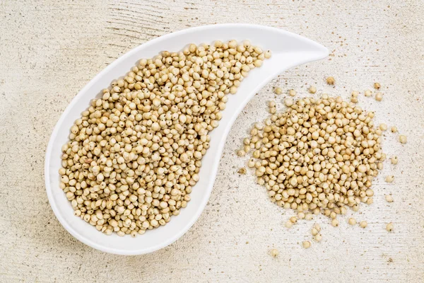 White sorghum grain — Stock Photo, Image