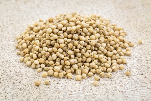 白いソルガムの穀物 — ストック写真