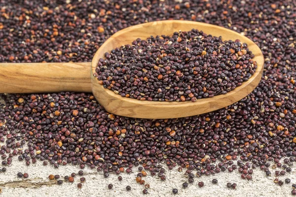 Grain de quinoa noir cultivé en Bolivie — Photo