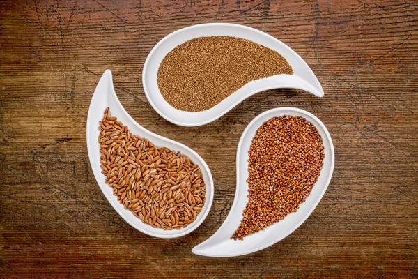 Teff, red quinoa and brown rice — Stock Photo, Image