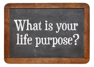 Your Life amaç nedir ?