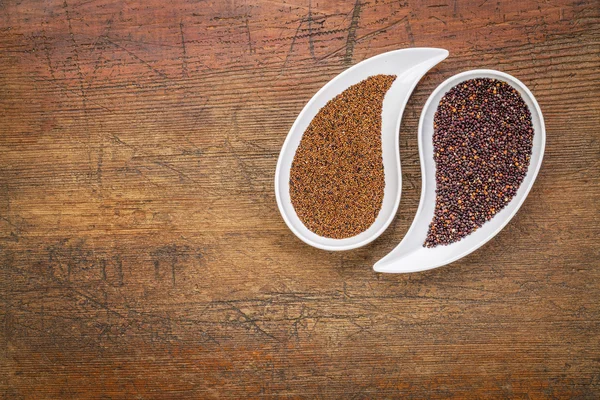 Kaniwa a quinoa lepku zrna — Stock fotografie