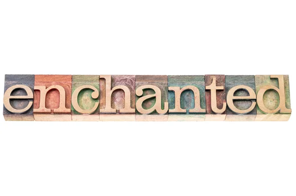 Enchanted word typography — Stock Photo, Image