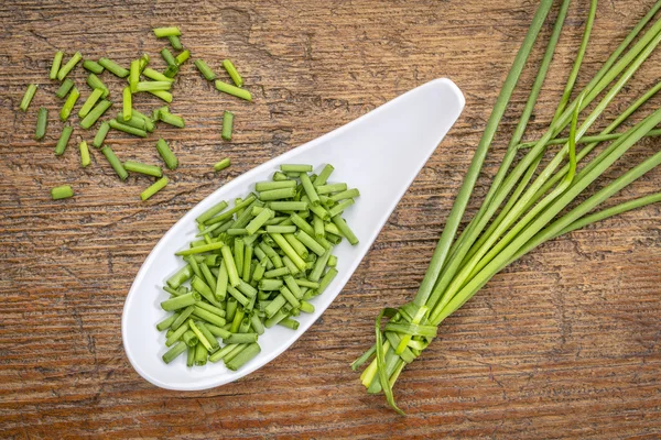 Frischer grüner Schnittlauch — Stockfoto