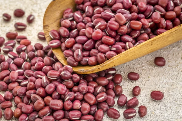 Japanese adzuki  beans — Stock Photo, Image