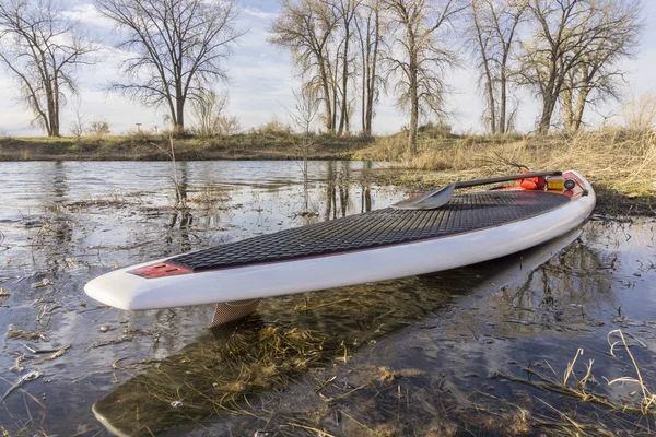 SUP paddleboard on lake shore — Stock Photo, Image