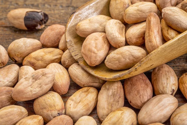 Szufelka z surowych ziaren kakaowca — Zdjęcie stockowe
