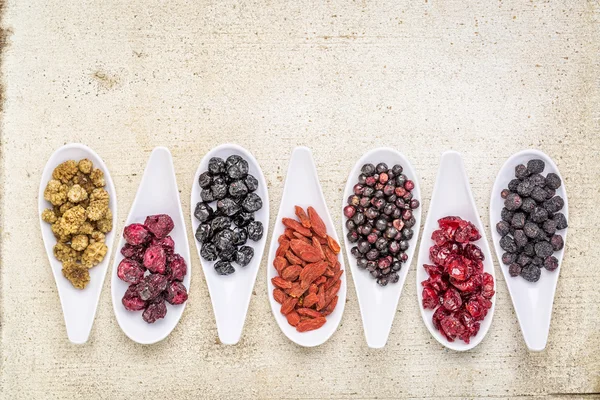 Healthy superfruit berry collection — Stock Photo, Image