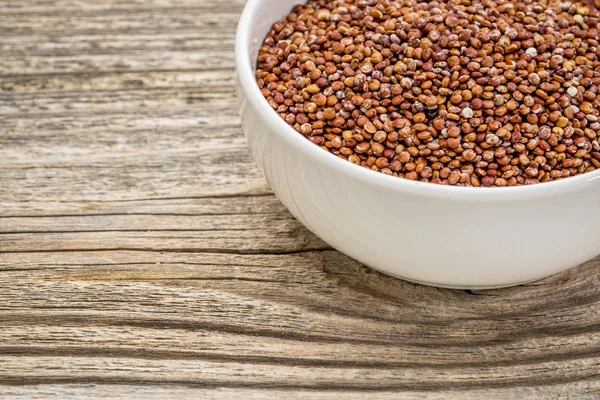 Red quinoa grain — Stock Photo, Image