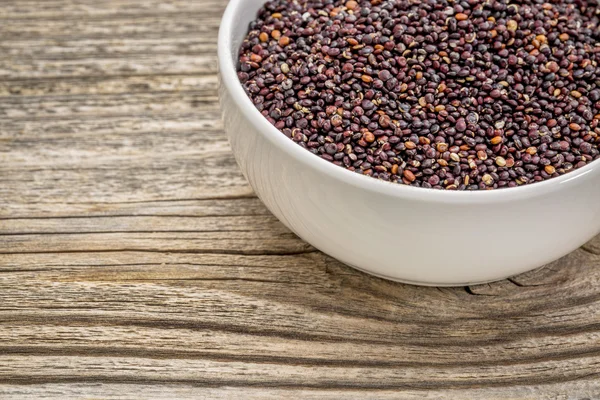 Black quinoa grain — Stock Photo, Image