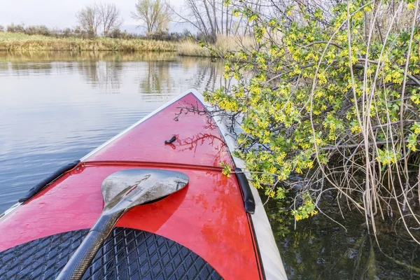 Postavte se pádlování na jarní — Stock fotografie