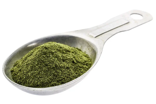 Freeze-dried organic wheat grass powder — Stock Photo, Image