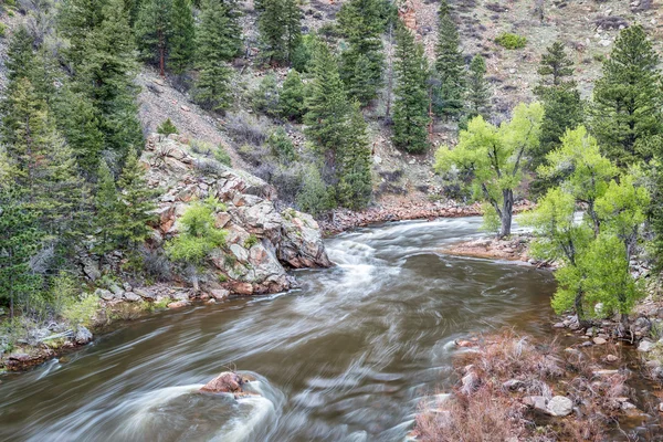 Cache la Poudre Río en las Montañas Rocosas —  Fotos de Stock