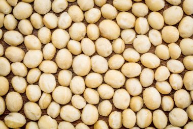 Macadamia fıstığı arka plan dokusu