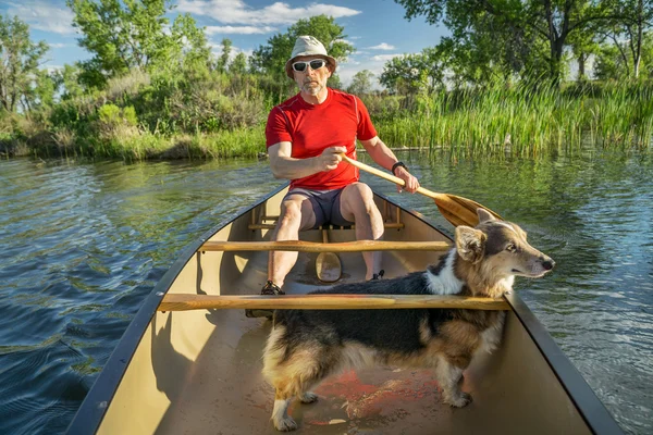 Canoa pagaiare con cane — Foto Stock