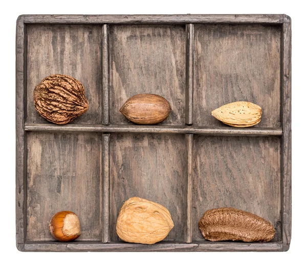 Орехи в деревенской деревянной тени — стоковое фото