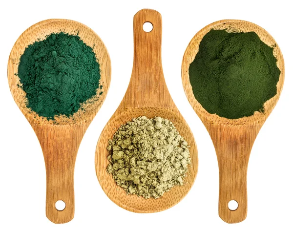 Spirulina, tang og chlorella pulvere - Stock-foto