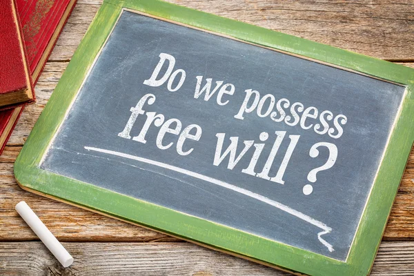 Do we possess free wil question on blackboard — 스톡 사진