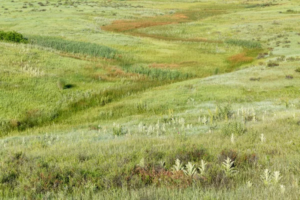 Pradaria verde no sopé das montanhas rochosas — Fotografia de Stock