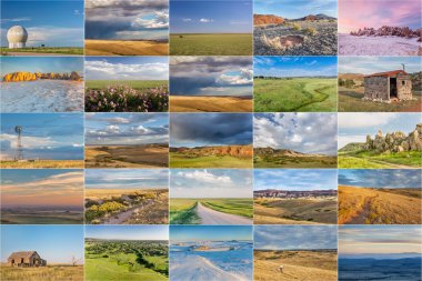 Colorado çayır resim koleksiyonu