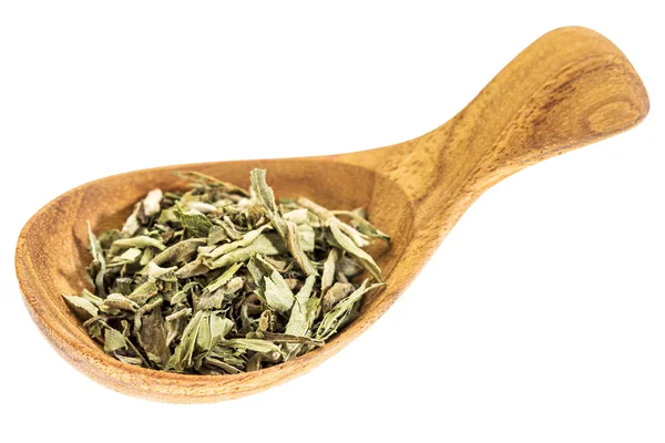 Stevia dried leaves on wooden spoon — Zdjęcie stockowe