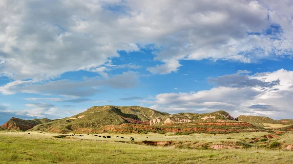 Rotes Bergpanorama — Stockfoto