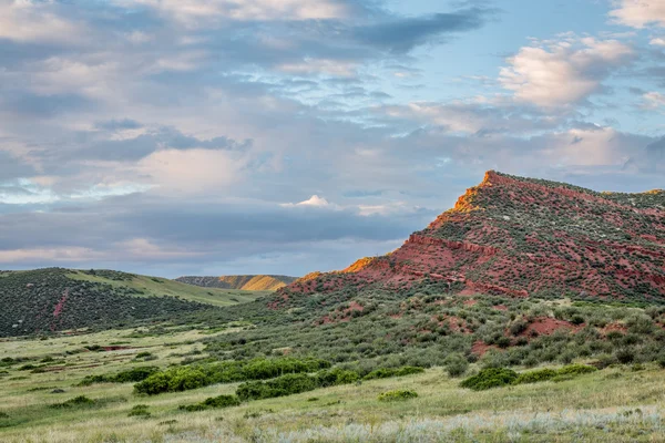 Prealpi del Colorado al tramonto — Foto Stock