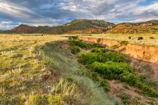 Colorado estribaciones al atardecer —  Fotos de Stock