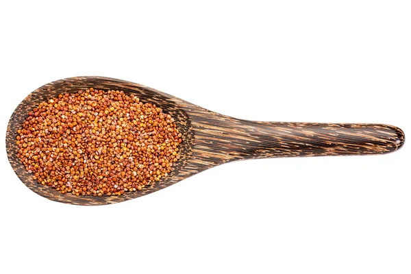 Tahta kaşık üzerinde kırmızı quinoa tahıl — Stok fotoğraf