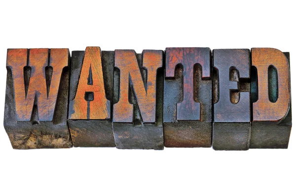 Wanted word in western style type — Stock Photo, Image