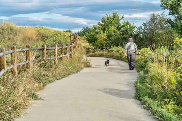 Ранкової прогулянки з собакою на велосипедну доріжку — стокове фото