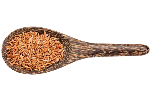 Безглютенове зерно коричневого рису — стокове фото